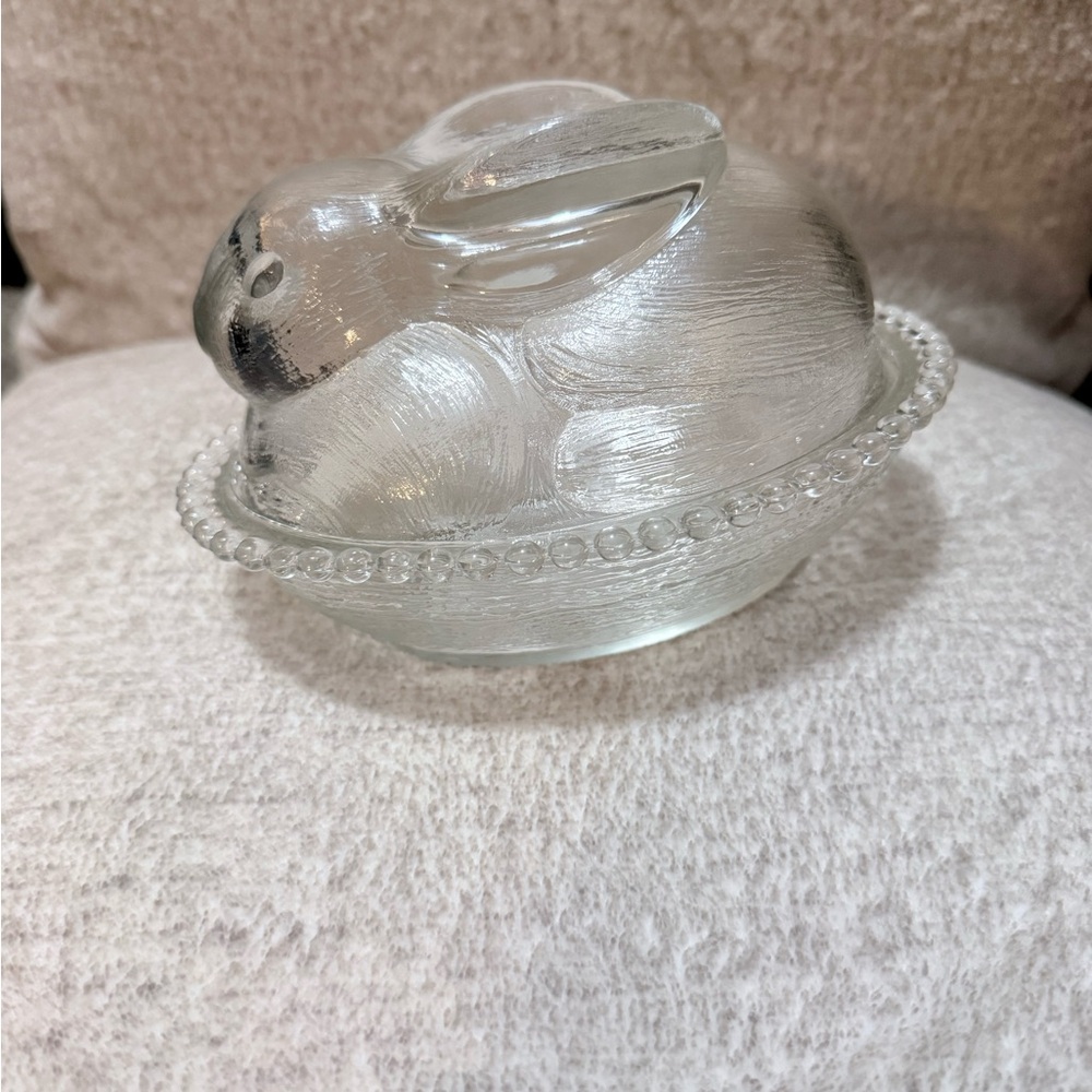 Clear Indiana Bunny on Nest